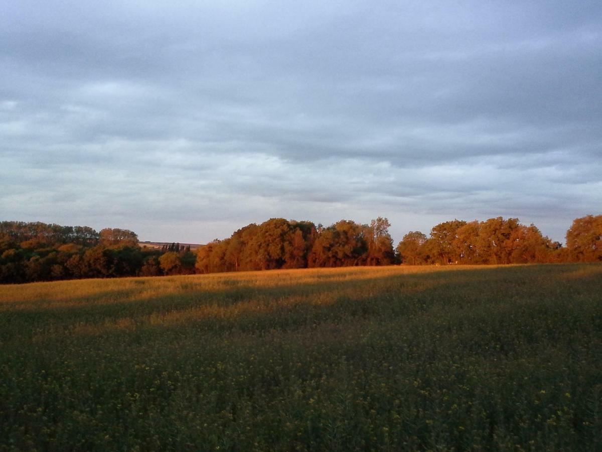 Vila Au Grain D'Orge Echire Exteriér fotografie